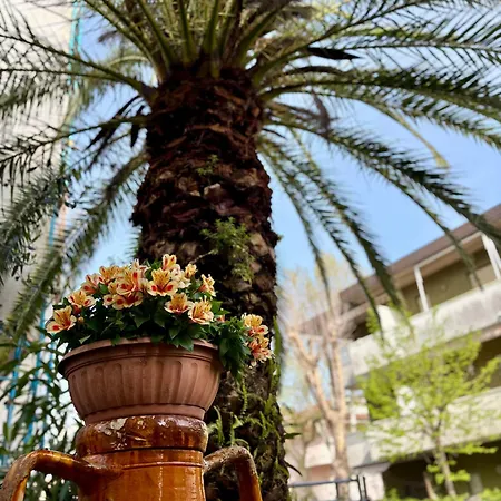 Baki Bed & Breakfast Rimini