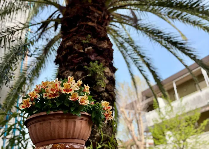 Baki Bed & Breakfast Rimini